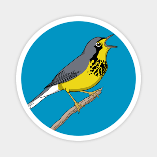 Canada Warbler Magnet